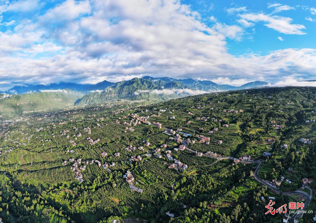 夏日乡村 诗画田园