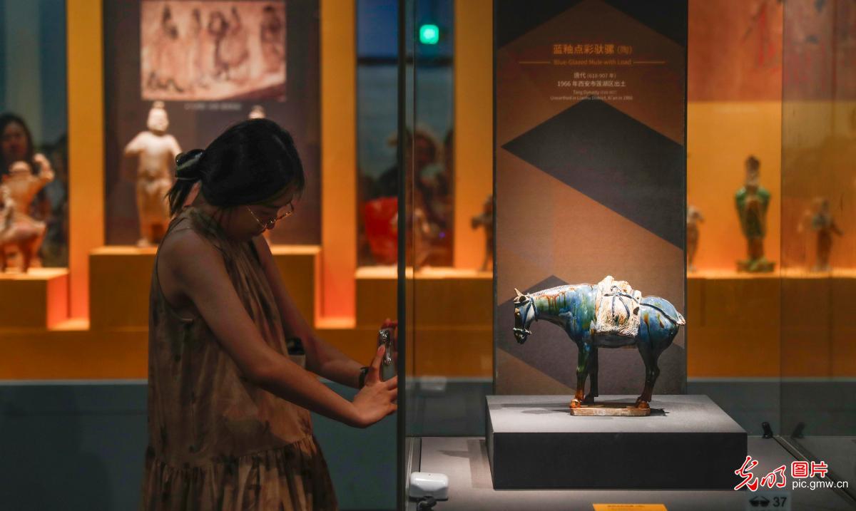 文化展馆人气旺