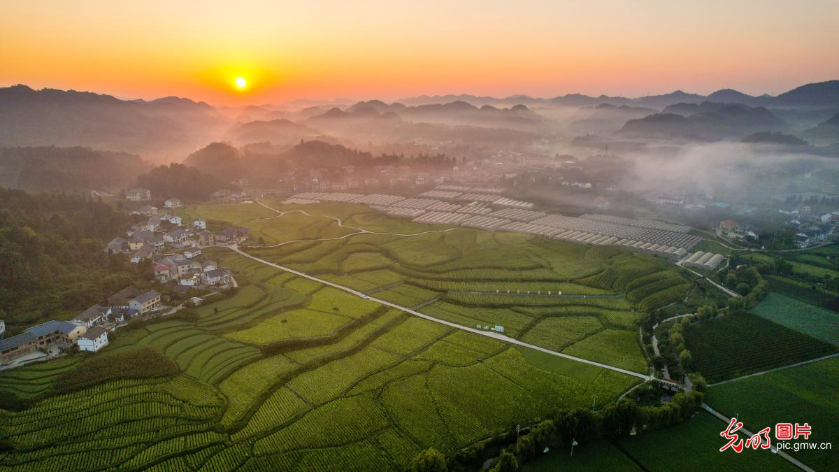 云雾萦绕乡村和美