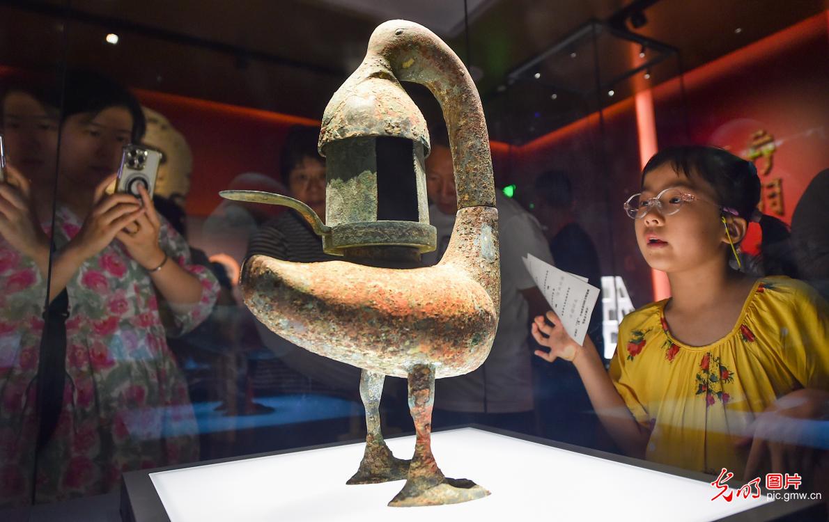 暑期“博物馆热”持续升温