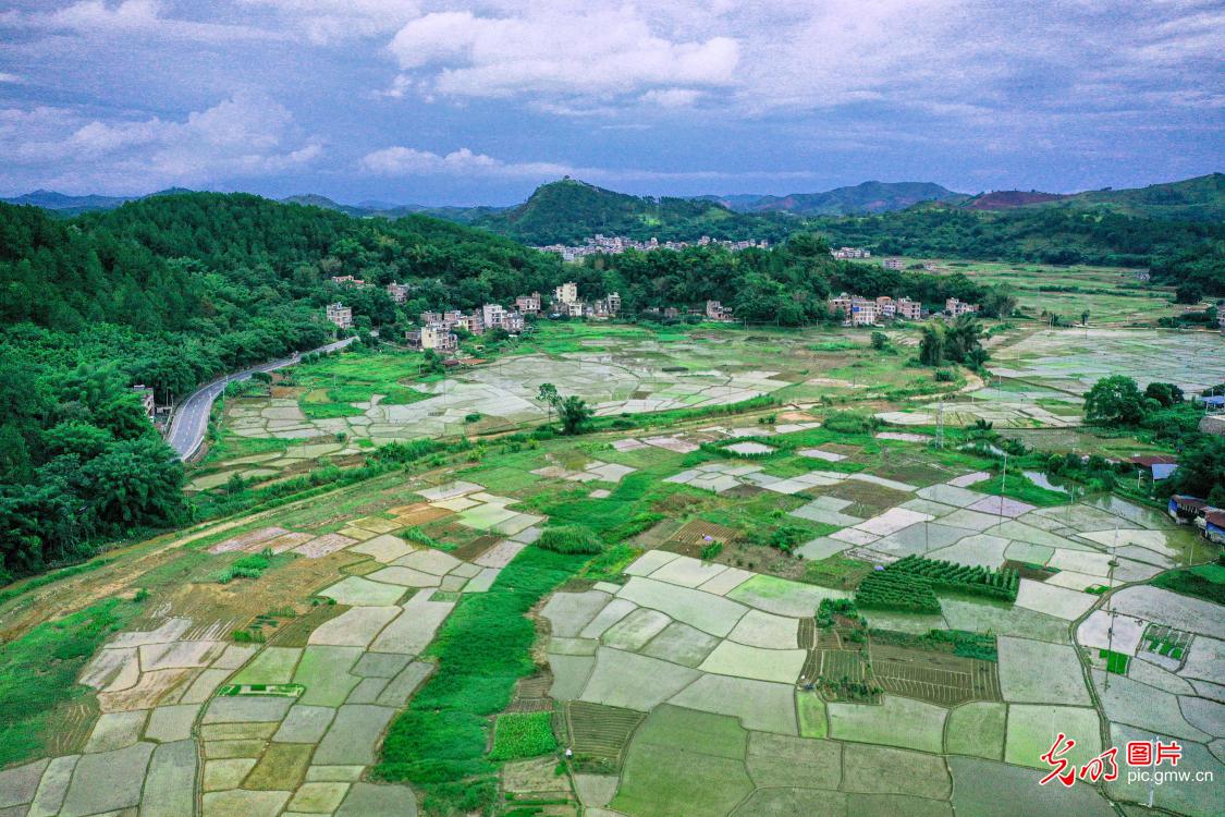 阡陌田园宛如大地“调色板”