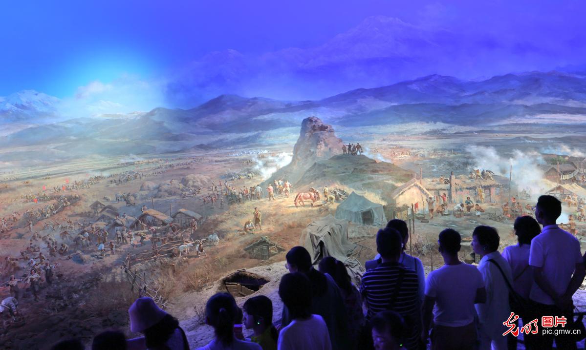 暑期“博物馆热”持续升温