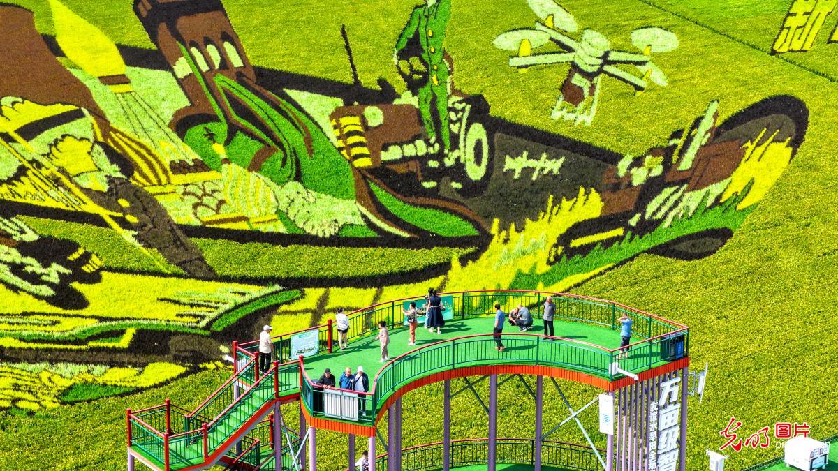 稻田画 文旅新地标