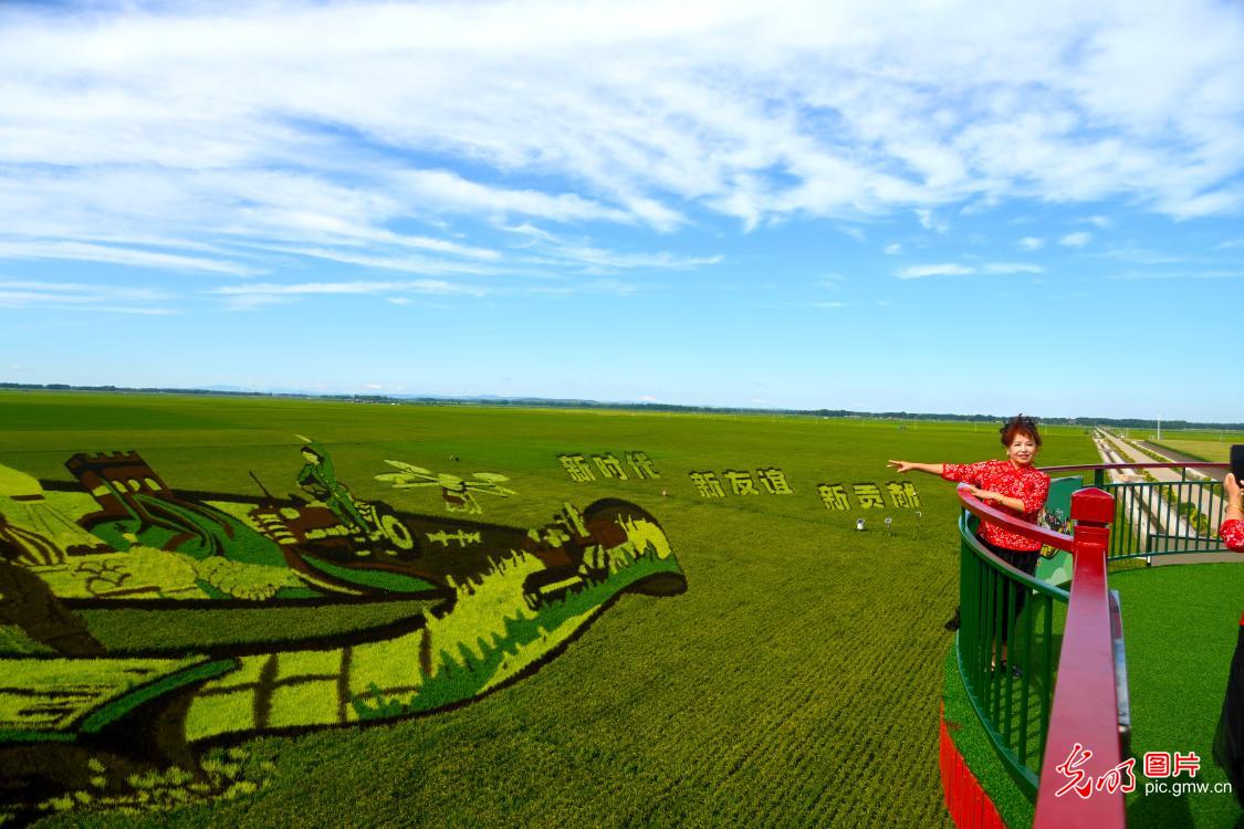 稻田画 文旅新地标