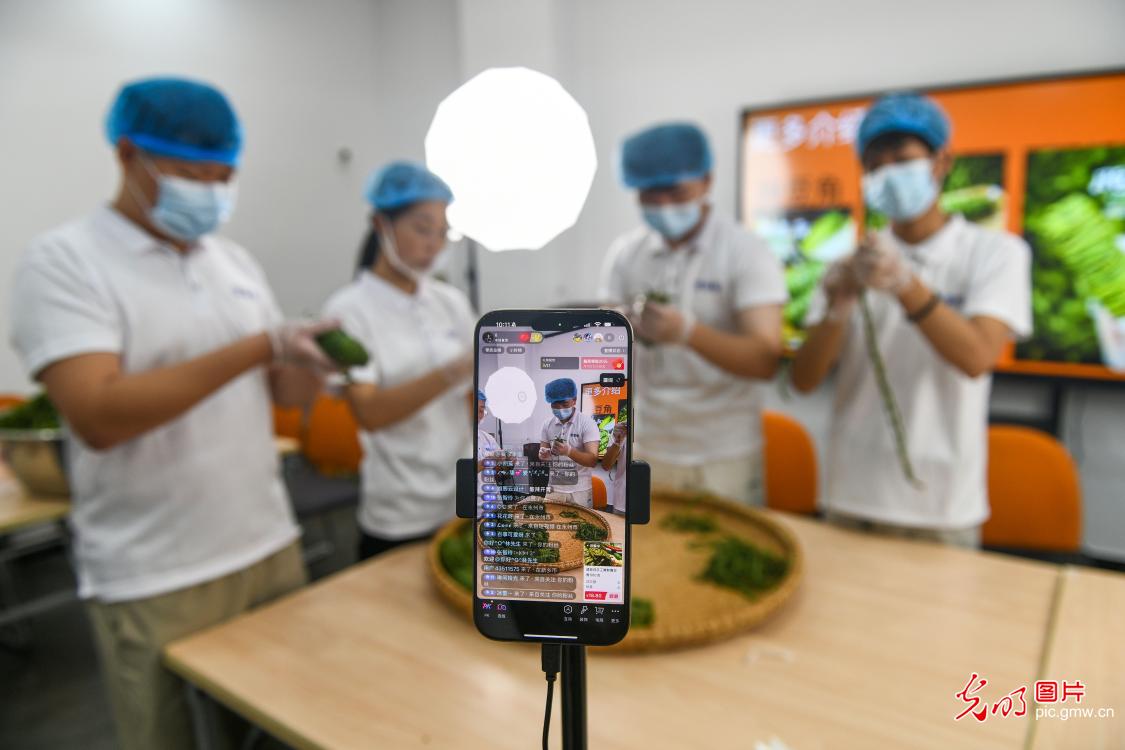 暑期实践 电商助农