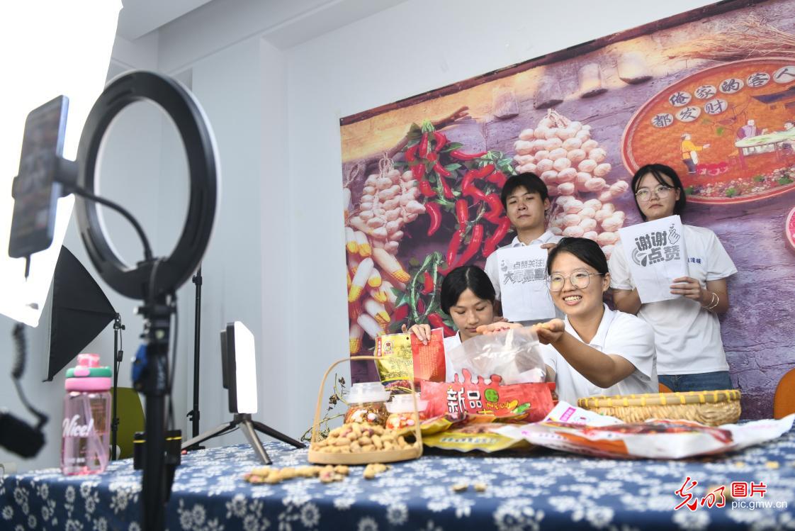 暑期实践 电商助农