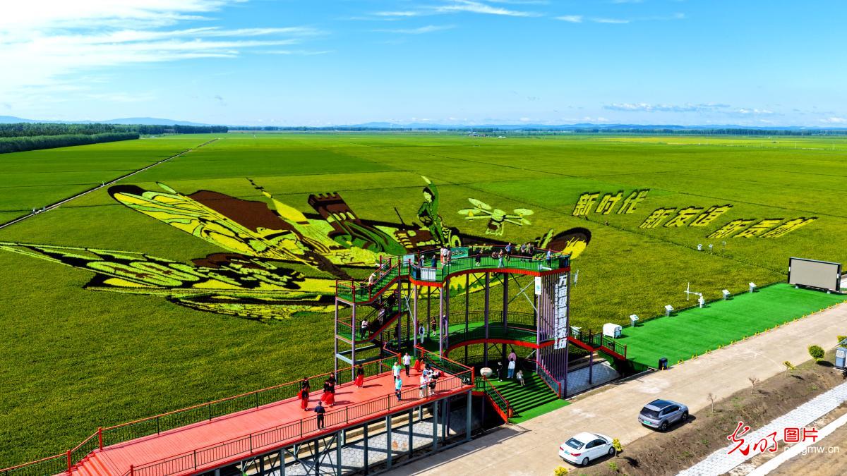 稻田画 文旅新地标