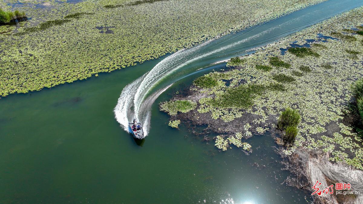 塞外江南 风景宜人