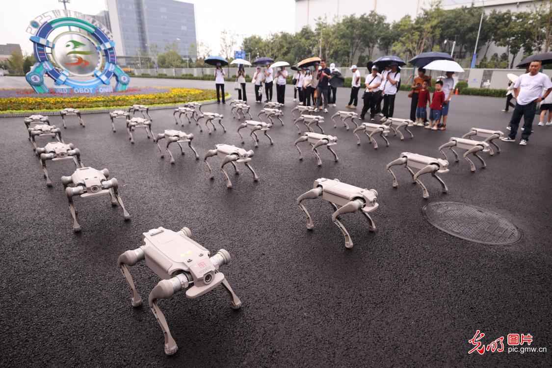 2025世界机器人大会在京开幕