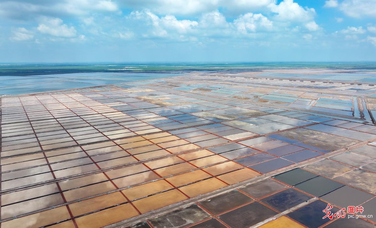 初秋盐田美如调色板