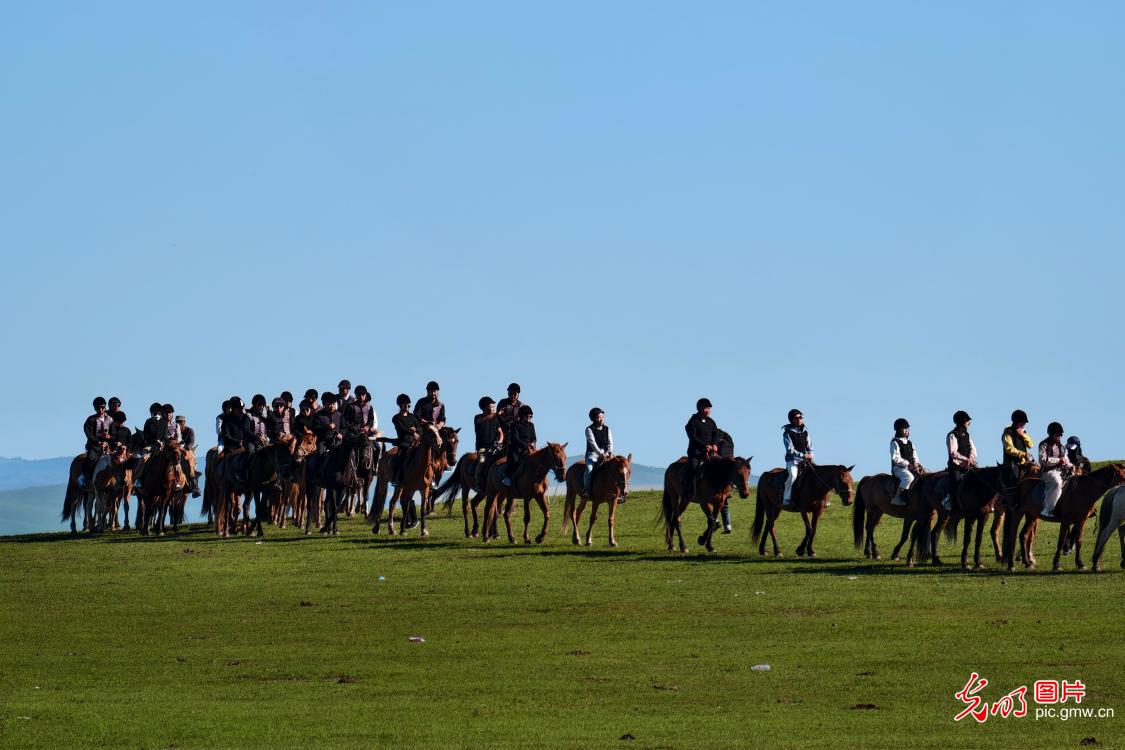 呼伦贝尔大草原迎来旅游最旺季