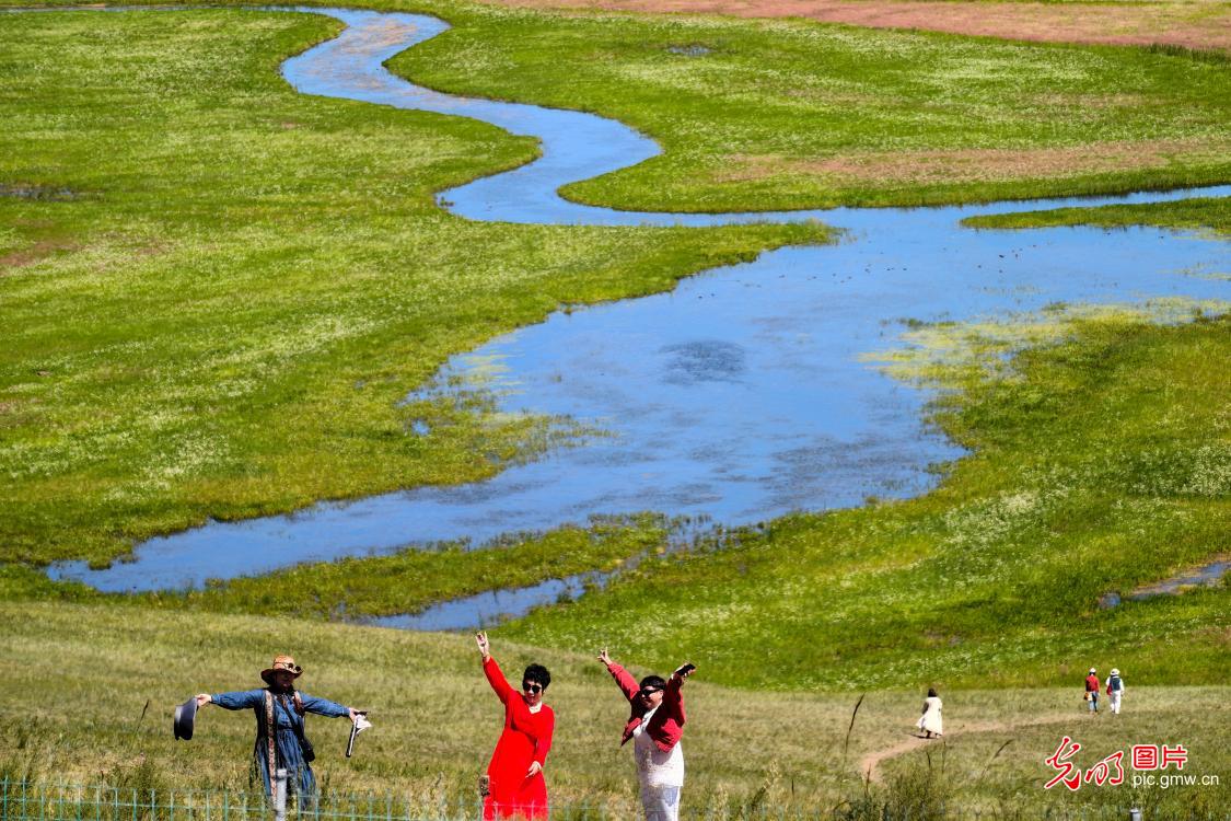 呼伦贝尔大草原迎来旅游最旺季