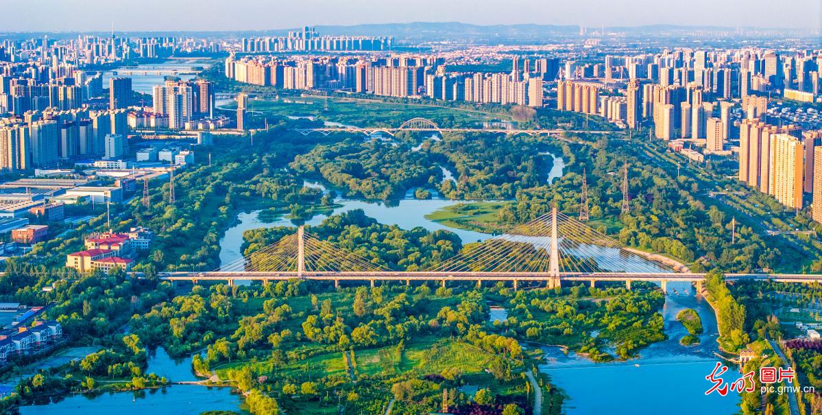 城市湿地公园生态美