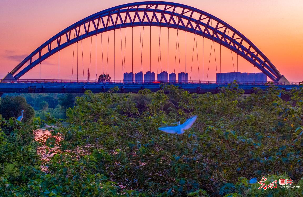 城市湿地公园生态美