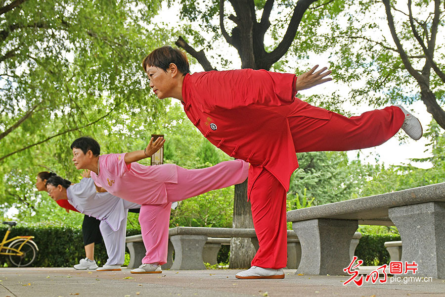 【世运非遗竞技场】千年武韵展风华