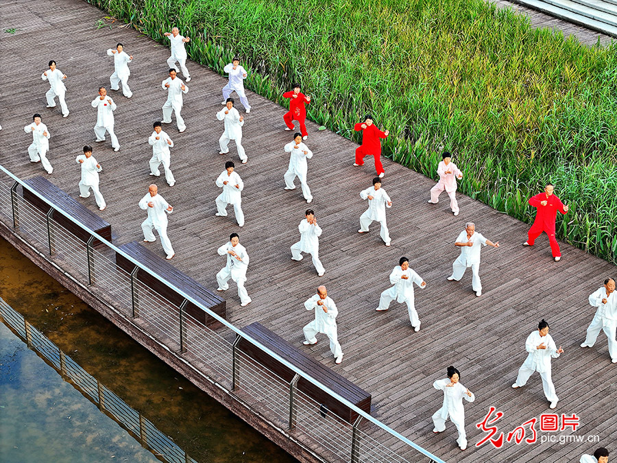 【世运非遗竞技场】千年武韵展风华