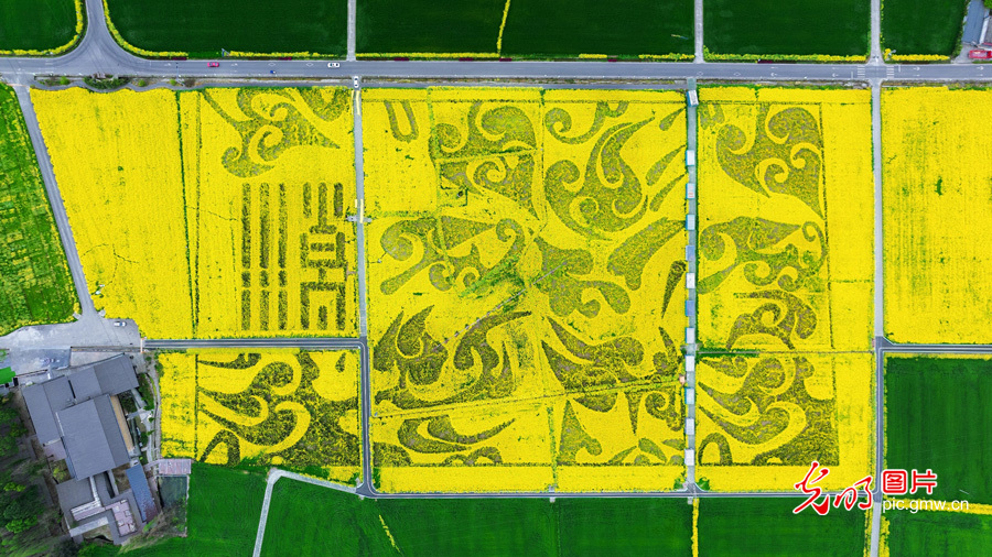 【世运非遗竞技场】世运舞台上 蜀绣针法在“说话”