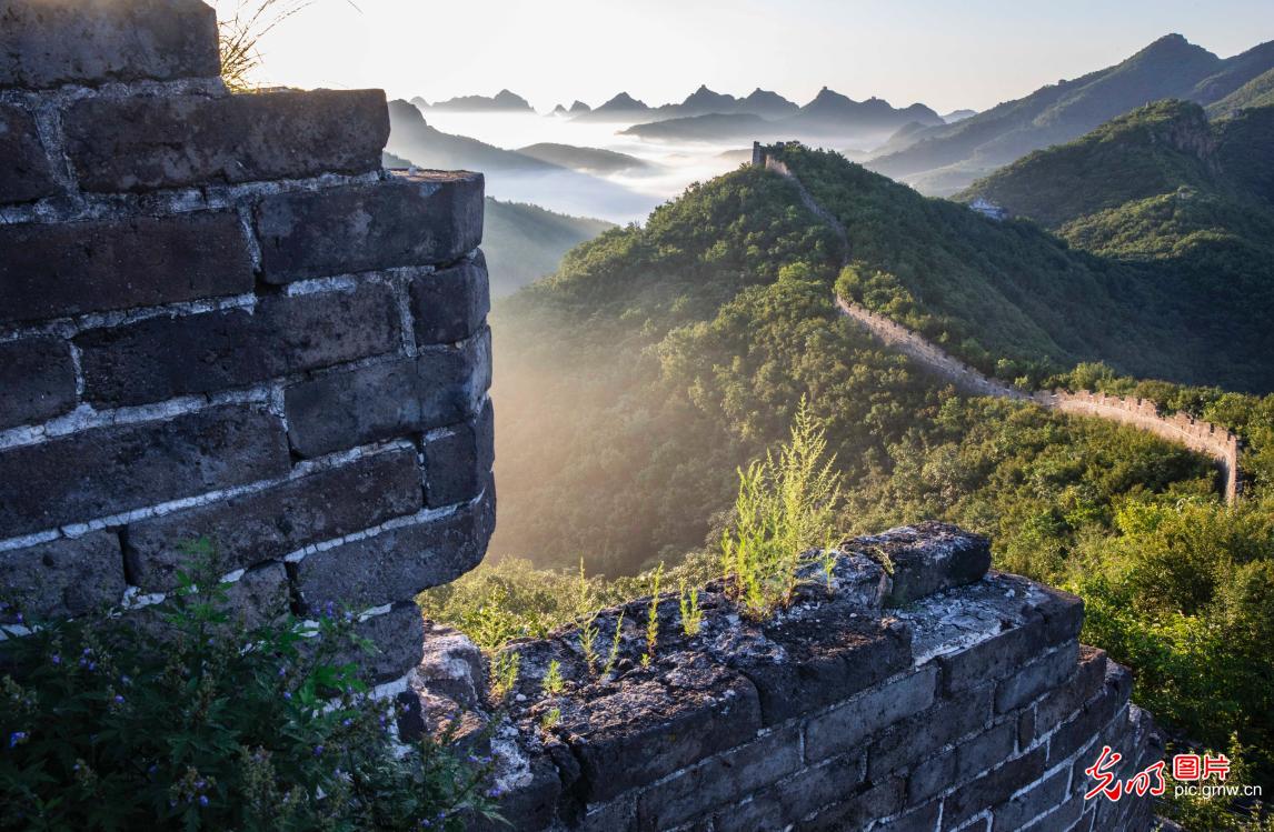 长城云海 美景如画