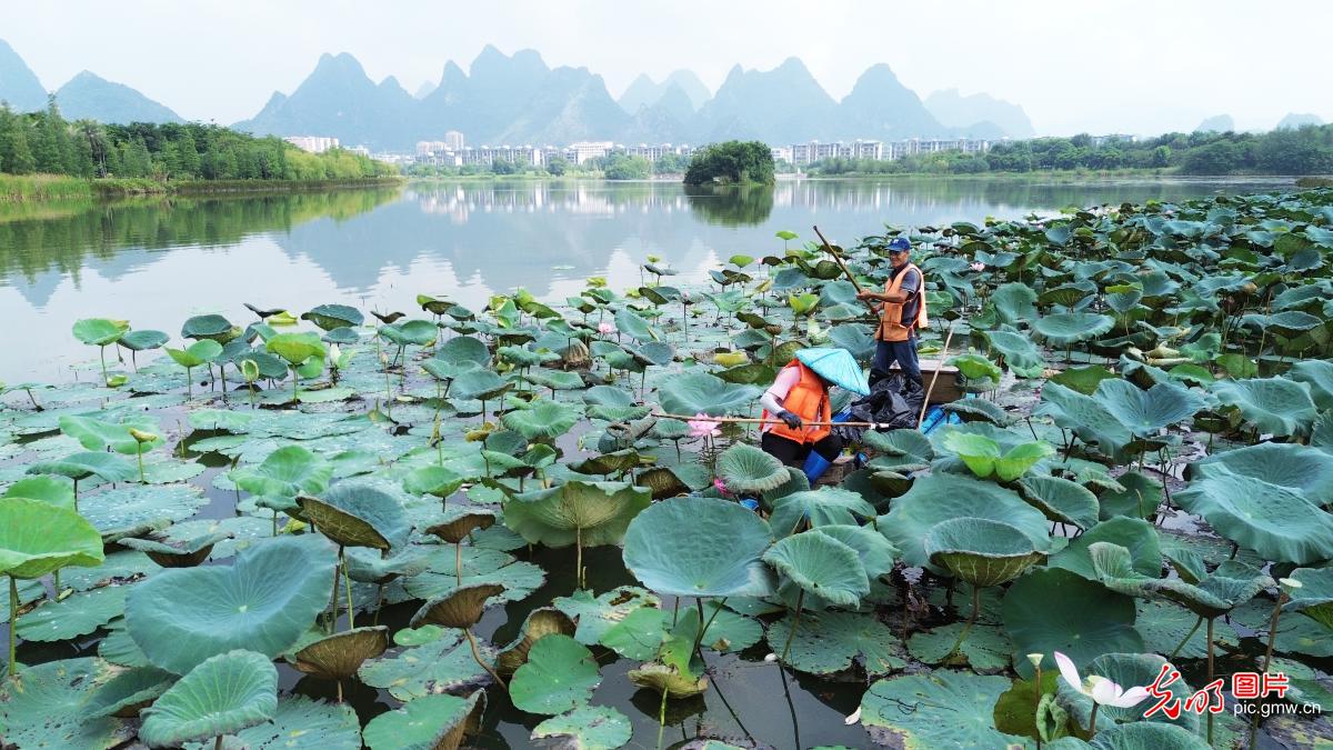 全国生态日丨守护绿水青山 全民共护家园