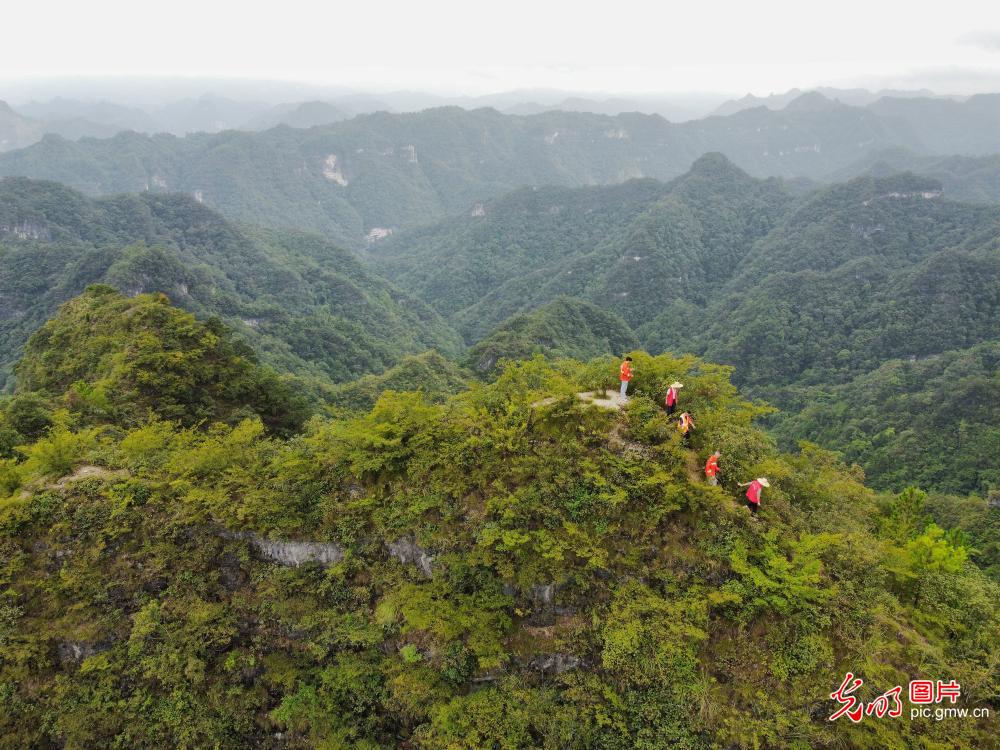 全国生态日丨守护绿水青山 全民共护家园