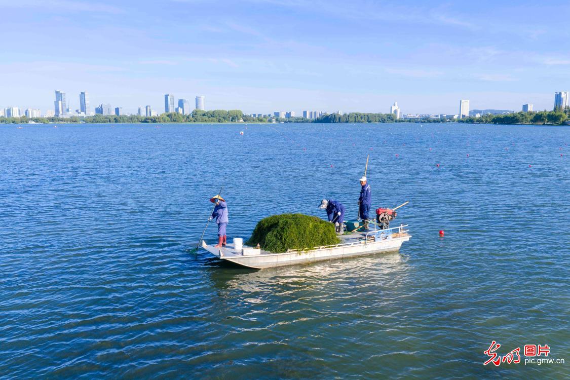 全国生态日丨守护绿水青山 全民共护家园