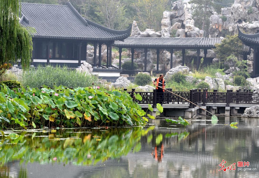 全国生态日丨守护绿水青山 全民共护家园