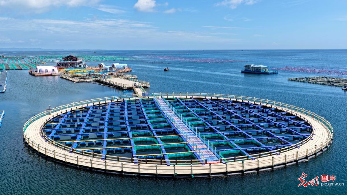 海洋牧场 秋日生态画卷