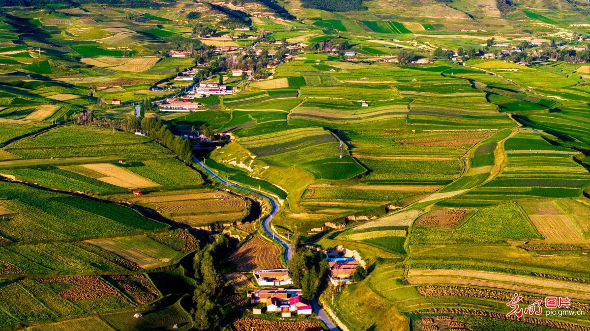 初秋乡村美如画