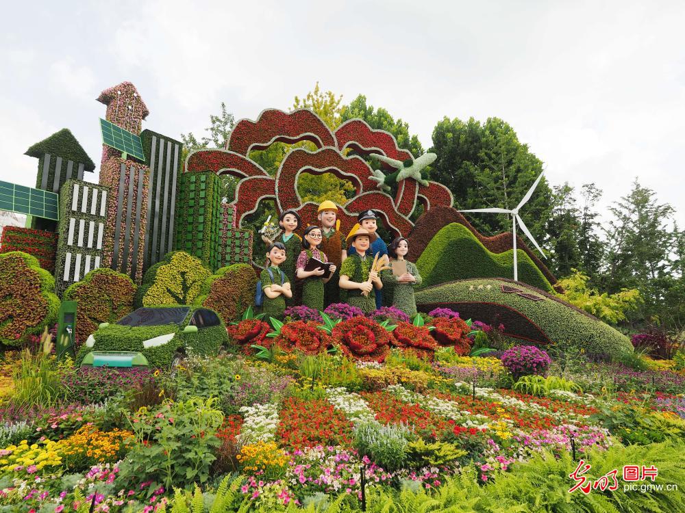 纪念抗战胜利80周年主题花坛亮相北京长安街