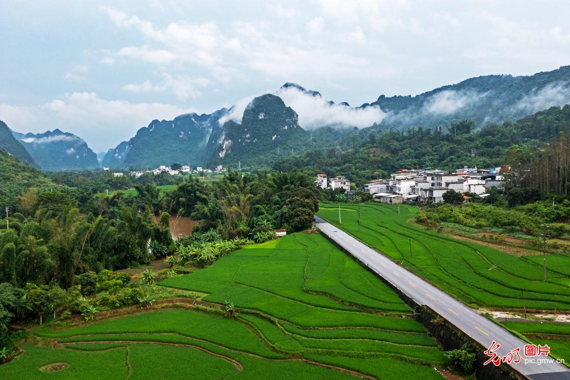 初秋田园绘就生态画卷