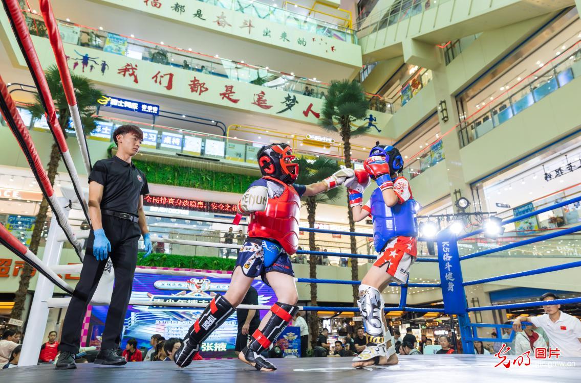 自由搏击激战酣