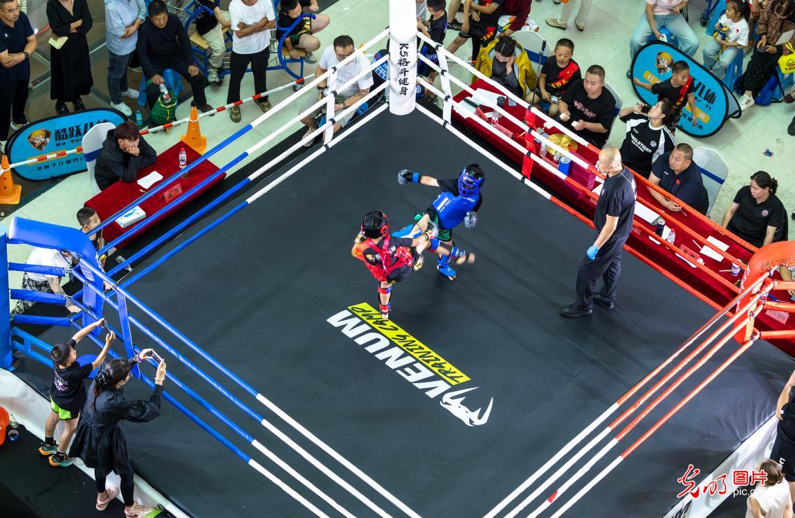 自由搏击激战酣