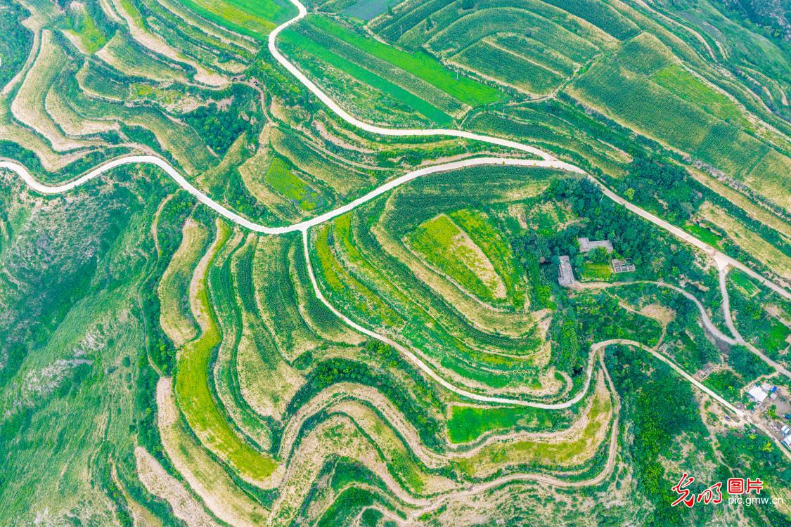 秋日梯田 别样“丰”景
