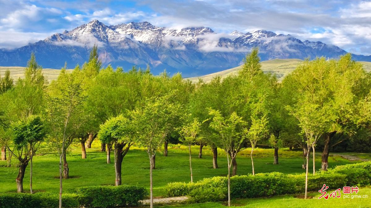 祁连山降初雪 万壑披银成诗画