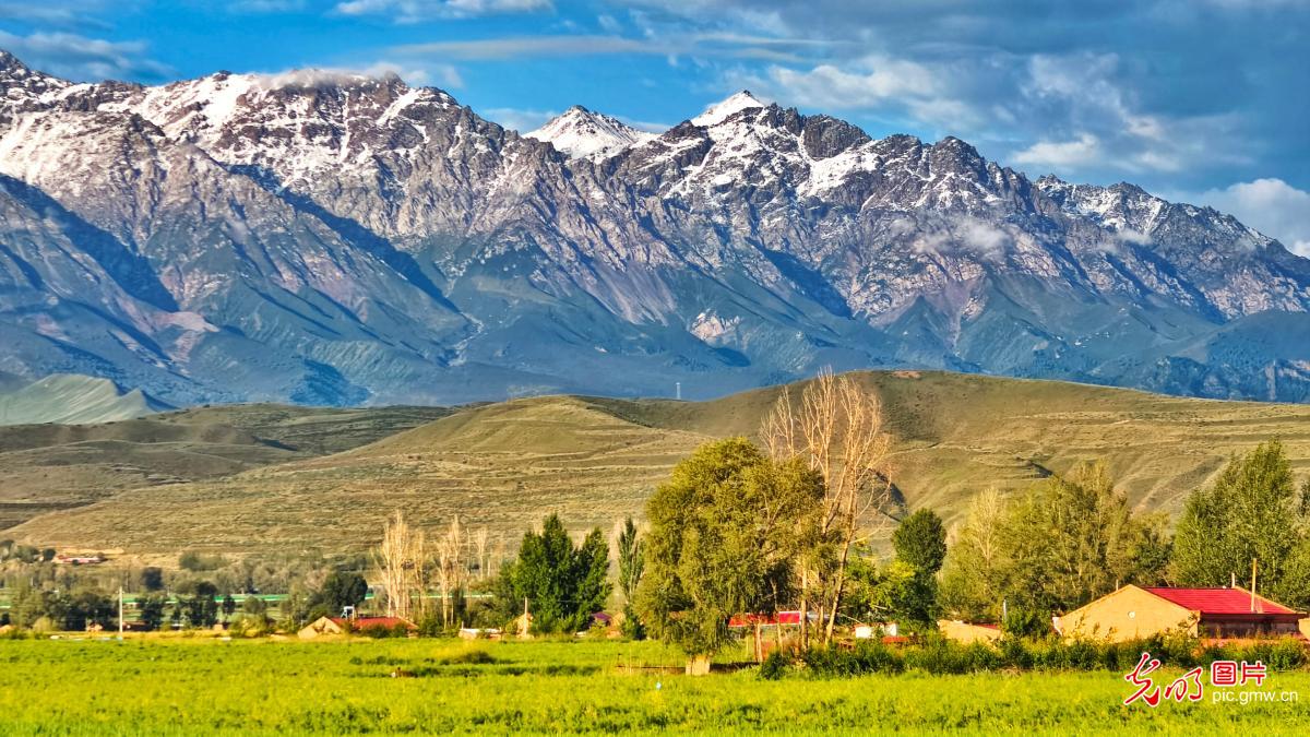 祁连山降初雪 万壑披银成诗画