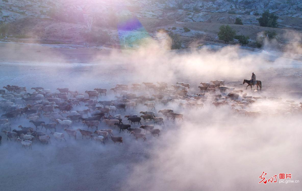 新疆阿勒泰百万牲畜秋季大转场