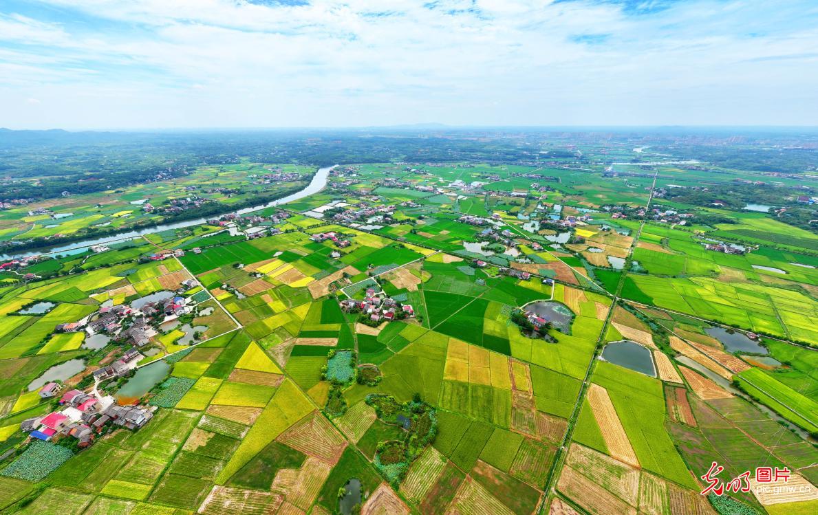 生态田园画卷