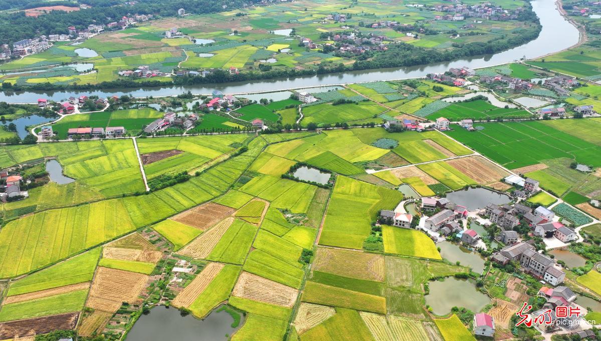生态田园画卷