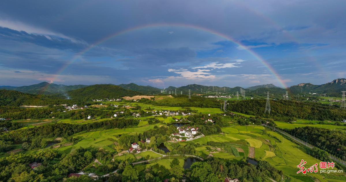 雨霁生虹霓 风拂稻禾香
