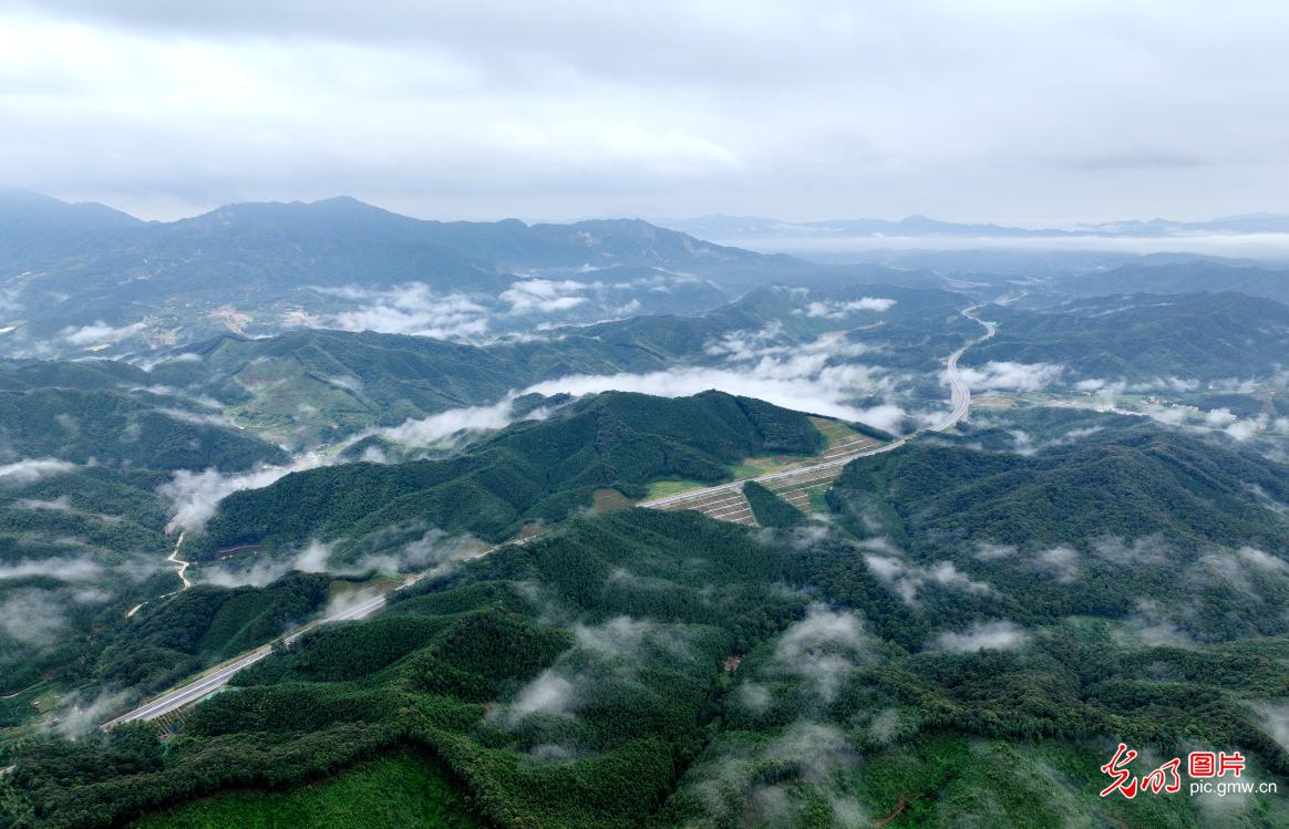 遂大高速银龙穿翠绘就山乡新卷