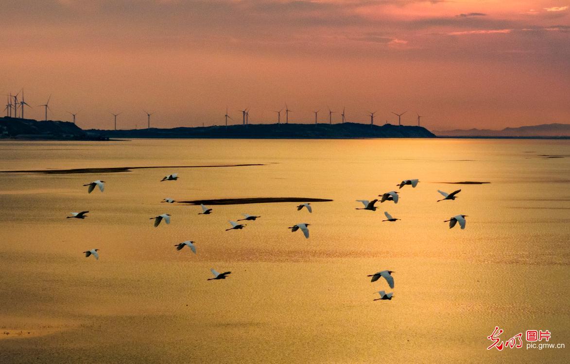 大美湿地 生态画卷