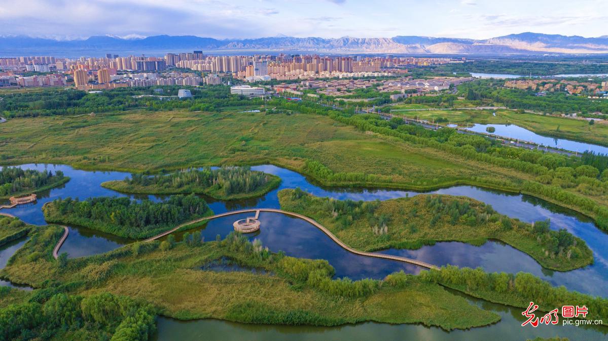 湿地公园秋景如画