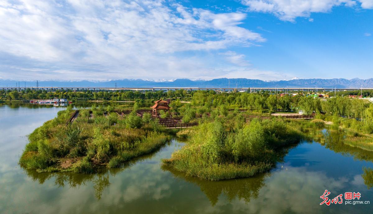 湿地公园秋景如画