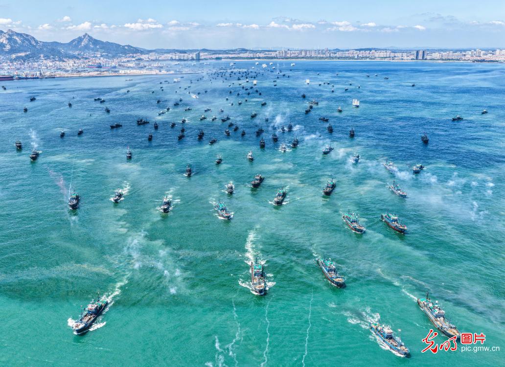 千船出海忙秋捕 千船出海忙秋捕