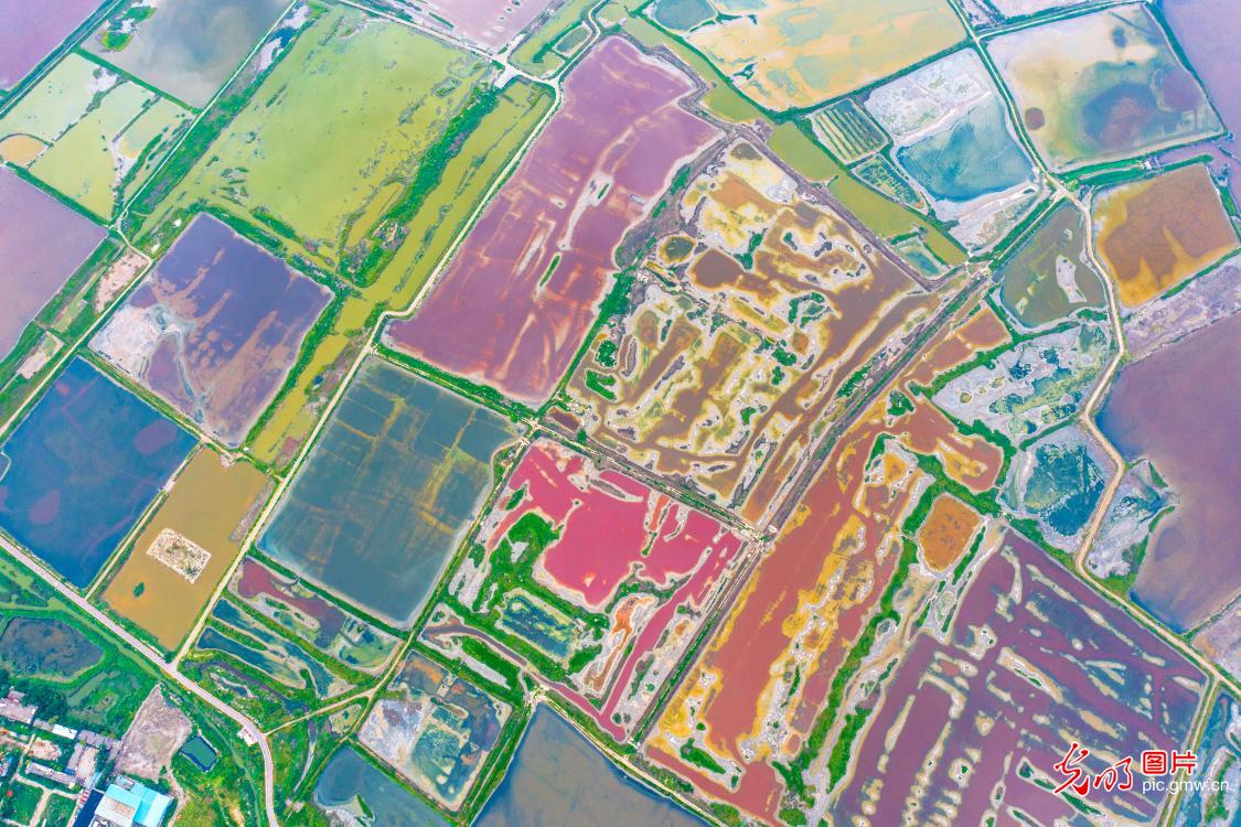 生态盐湖多彩画卷