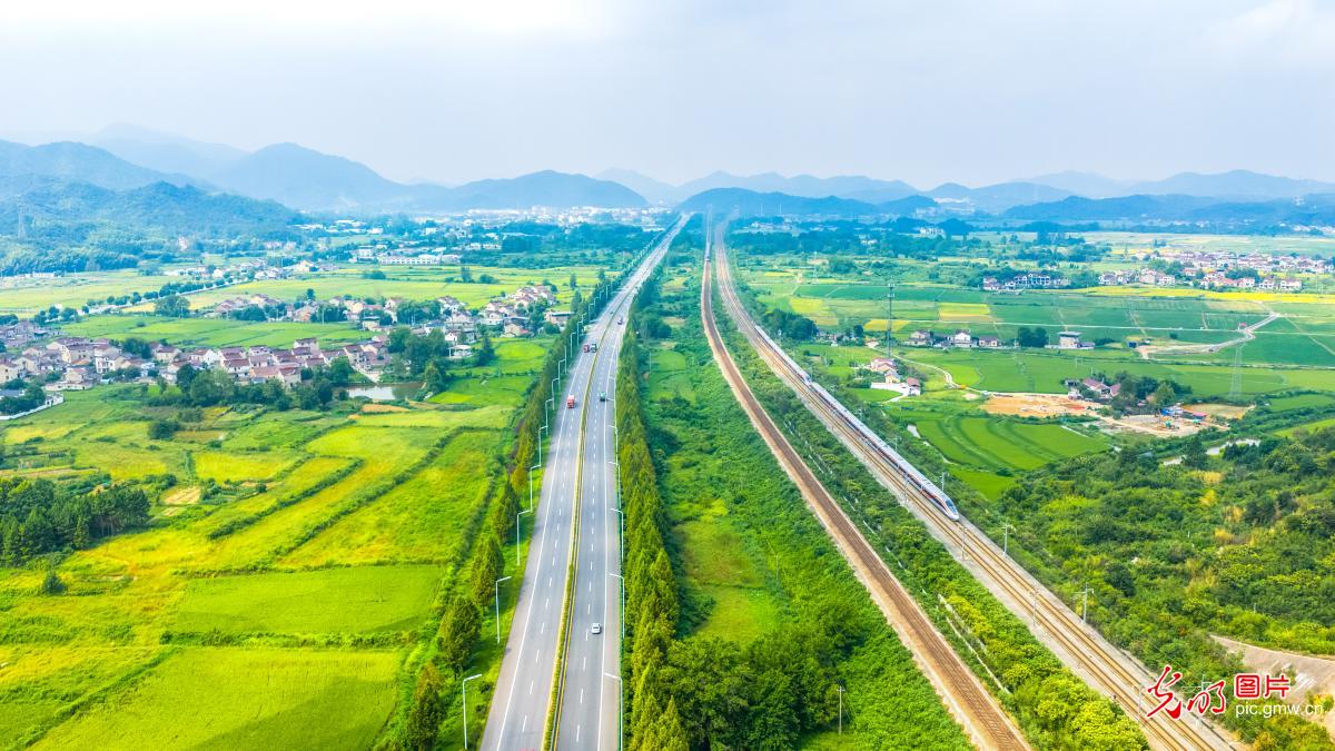 丰收美景入画来