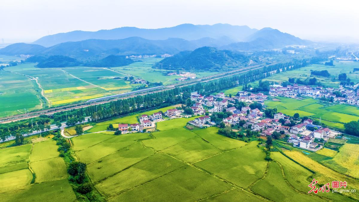 丰收美景入画来