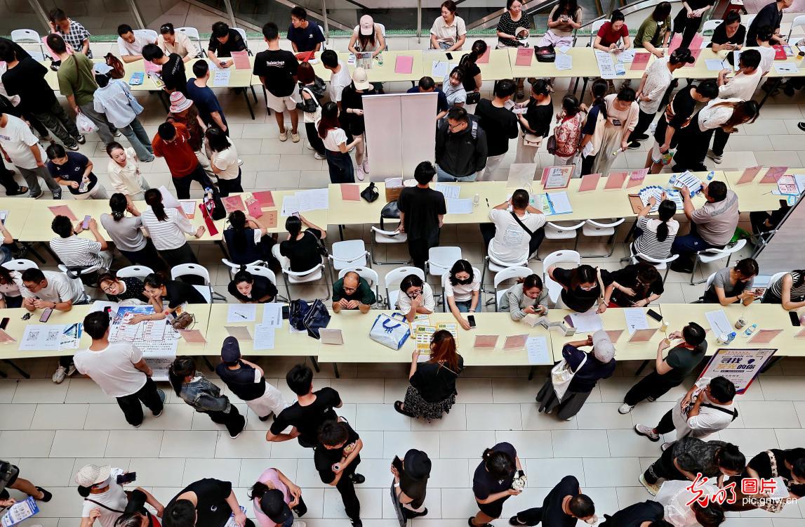 公益招聘会助求职