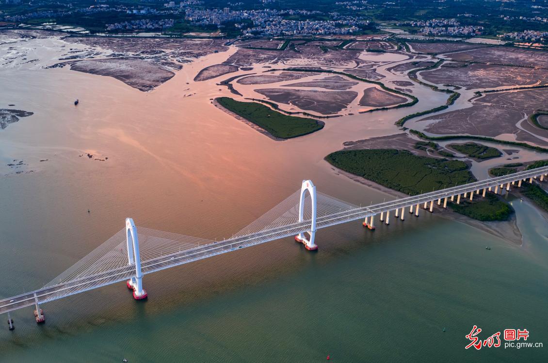 水东湾大桥晚霞似火