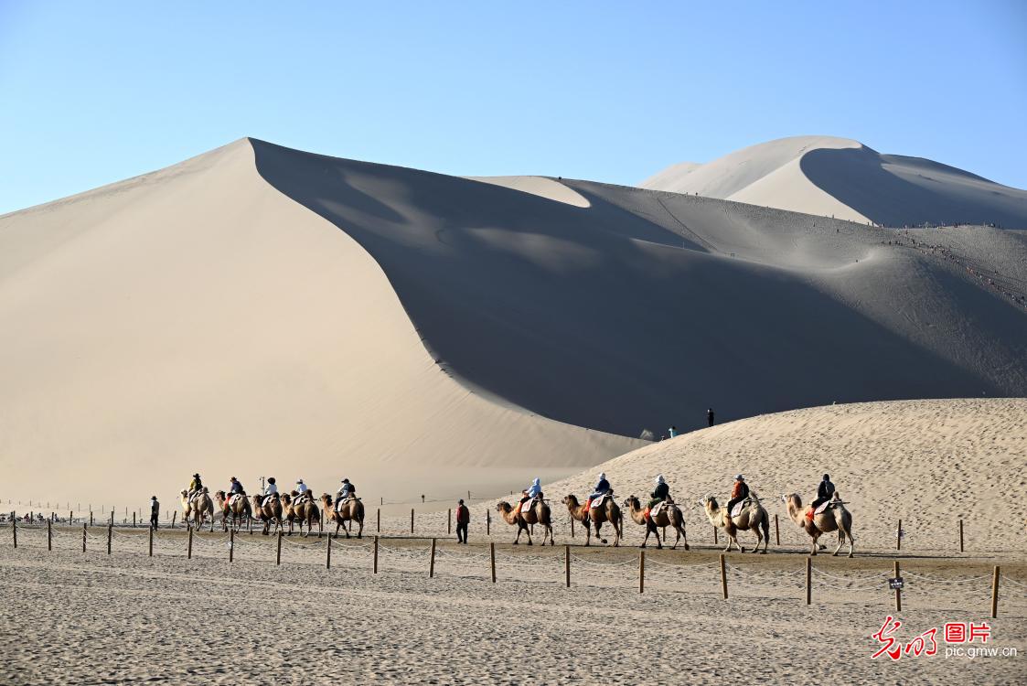 秋高气爽游大漠